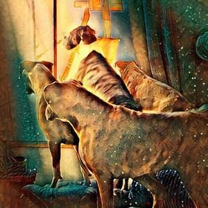 Meet your Posher, Christa